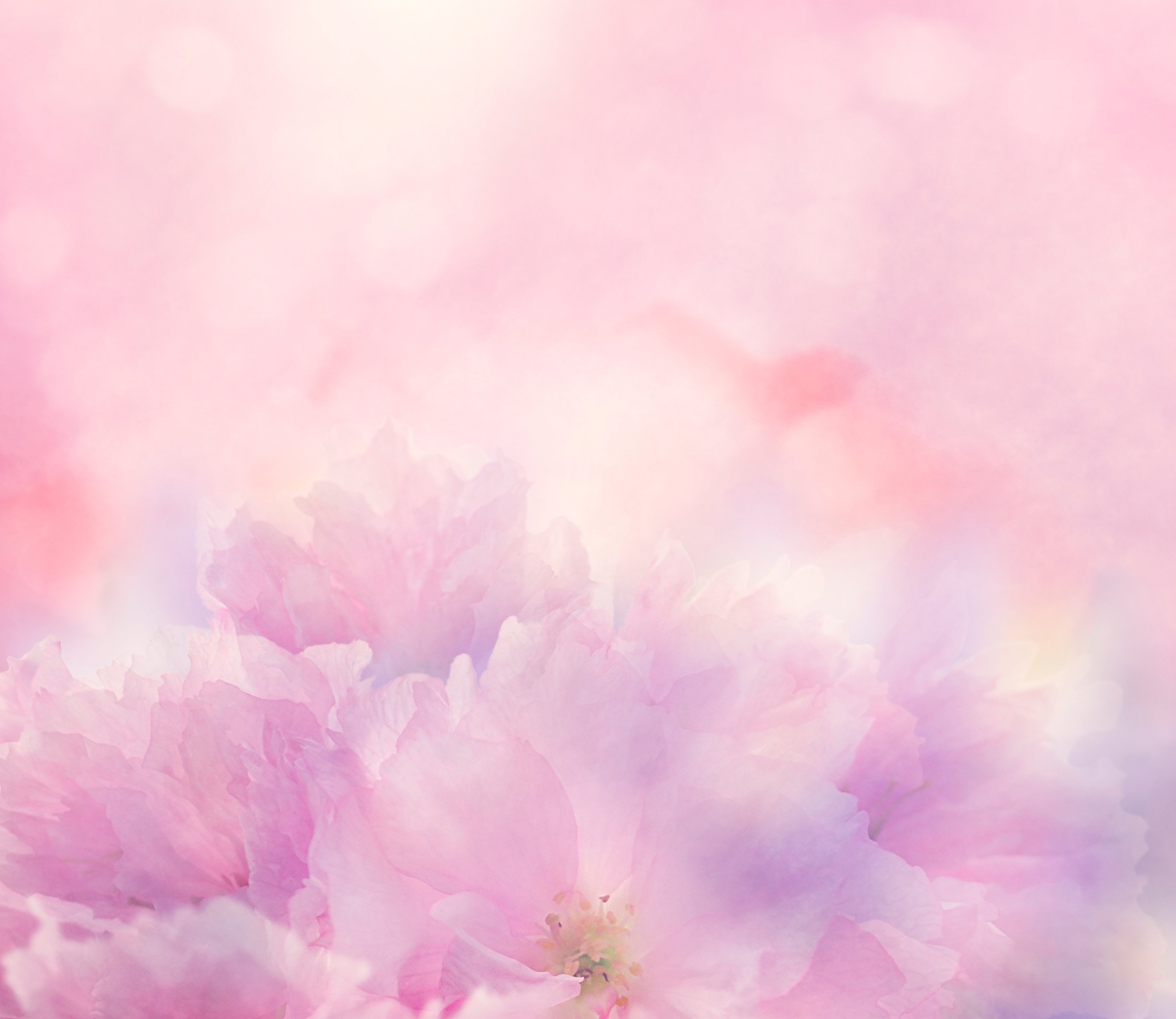 Artistic Painting of Pink Flowers